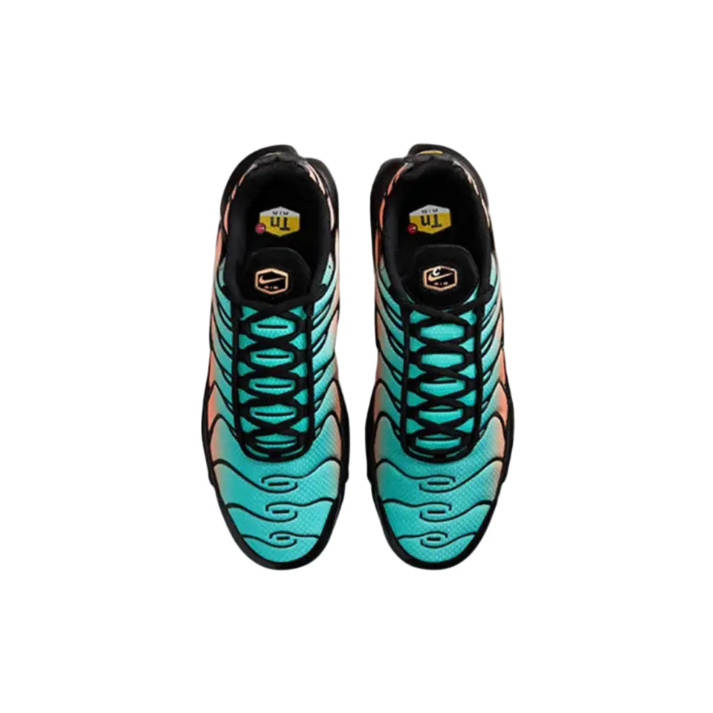 Nike TN Air Max Plus 'South Beach'