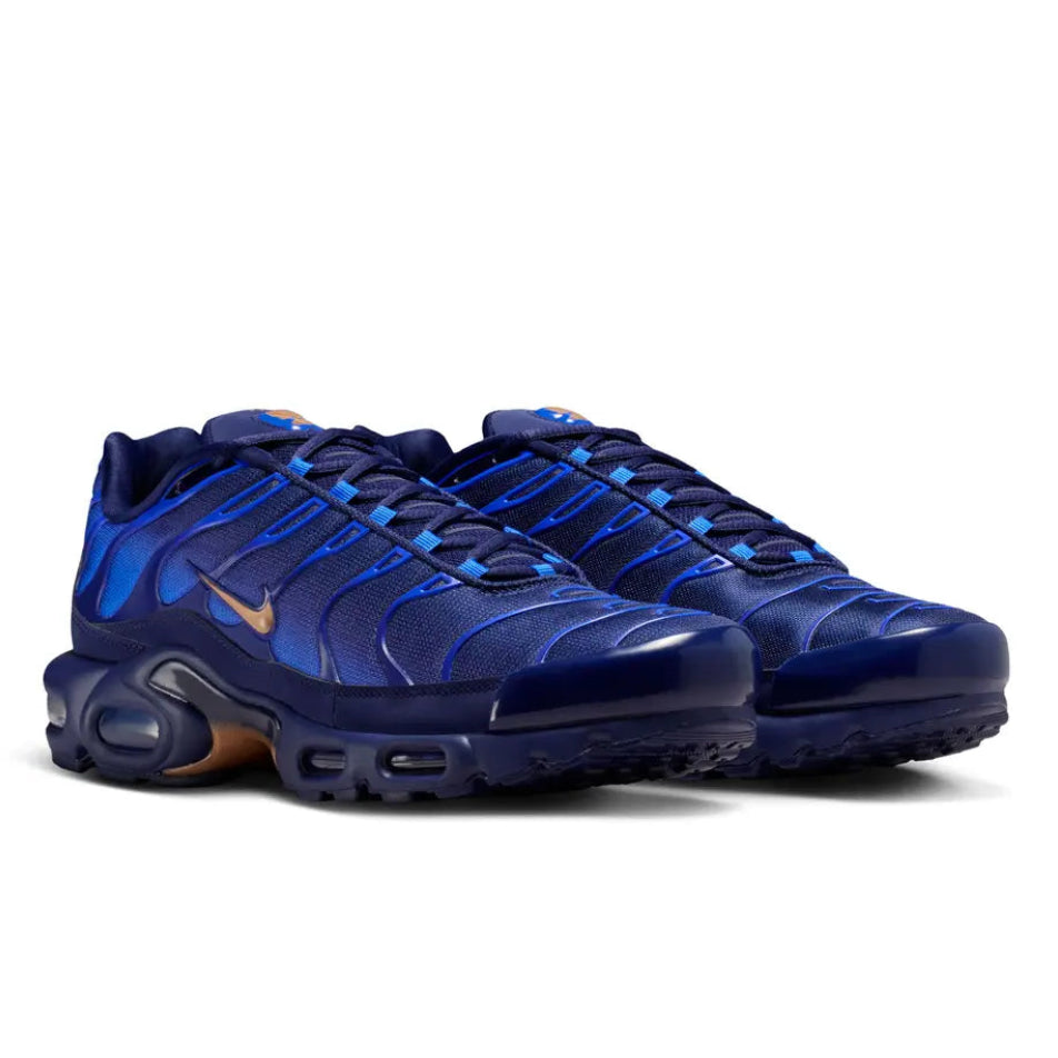 A pair of Nike Air Max Plus TN French Football Federation trainers featuring gradient blue mesh, signature wavy TPU overlays, metallic gold accents and visible Tuned Air cushioning on a clean white background.