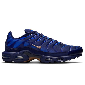 Nike TN Air Max Plus 'French Football Federation'