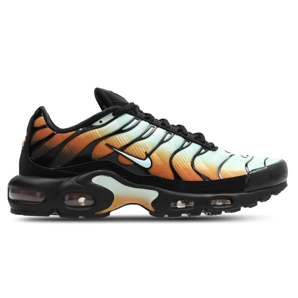 Nike TN Air Max Plus 'Monarch Multi'