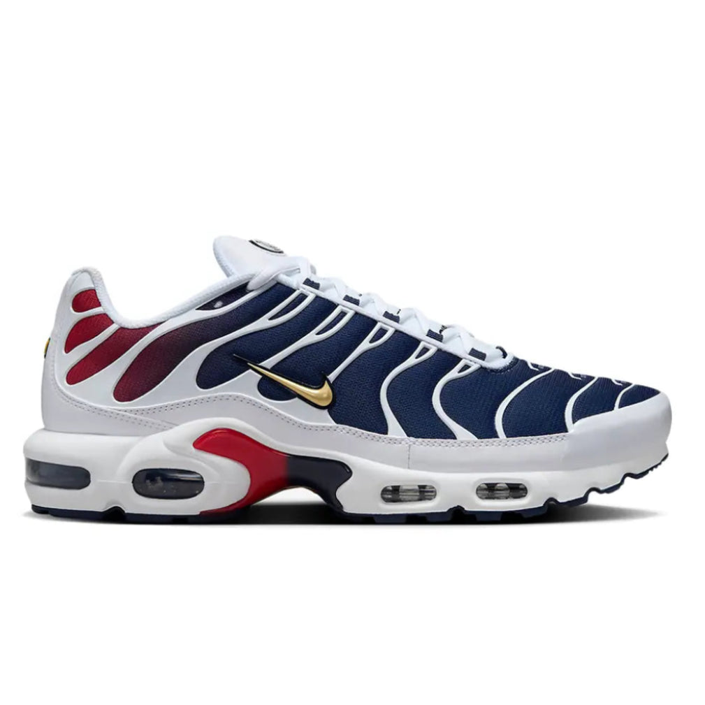 Nike Air Max Plus sneaker with blue, red, and white design on a white background